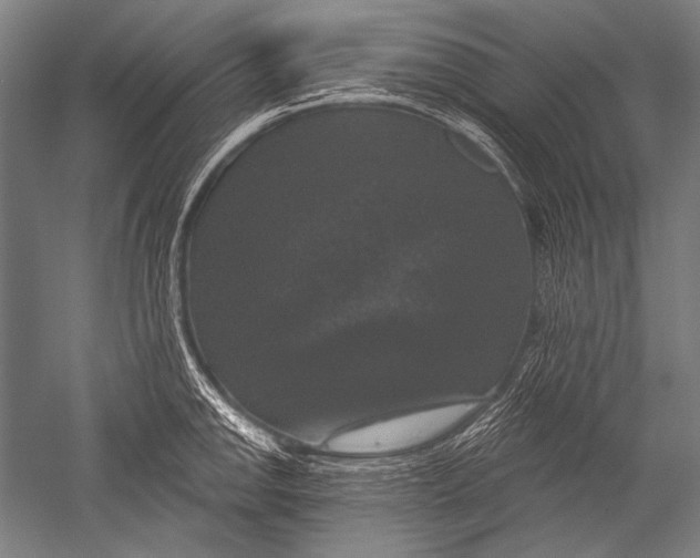 X0000051261142200507082210