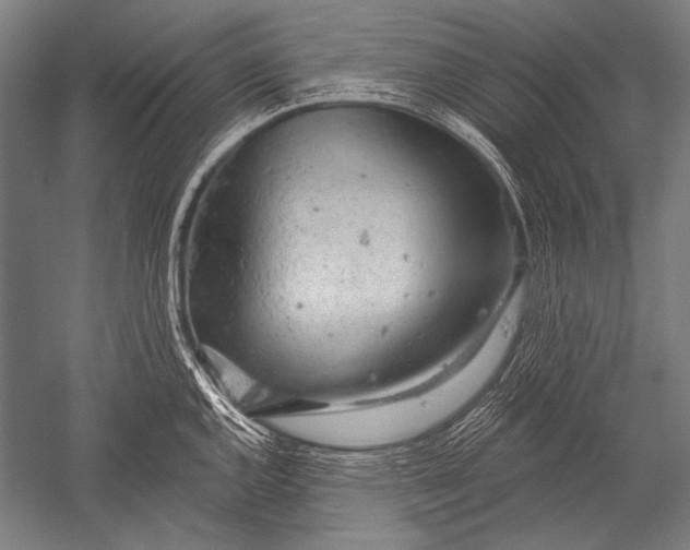 X0000051261144200507082210