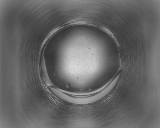 X0000051261146200507082210