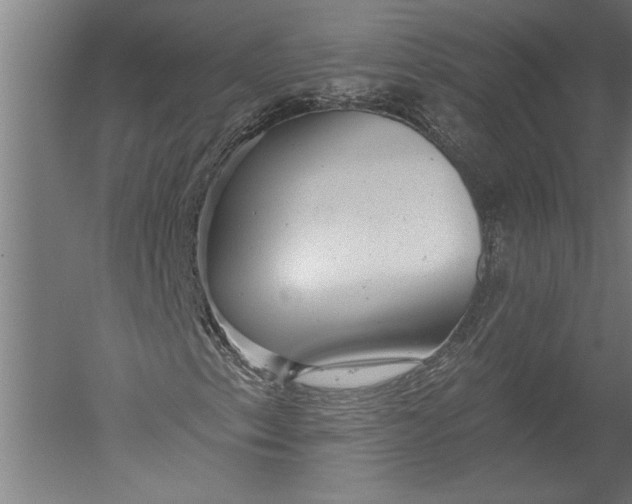 X0000051261153200507082209