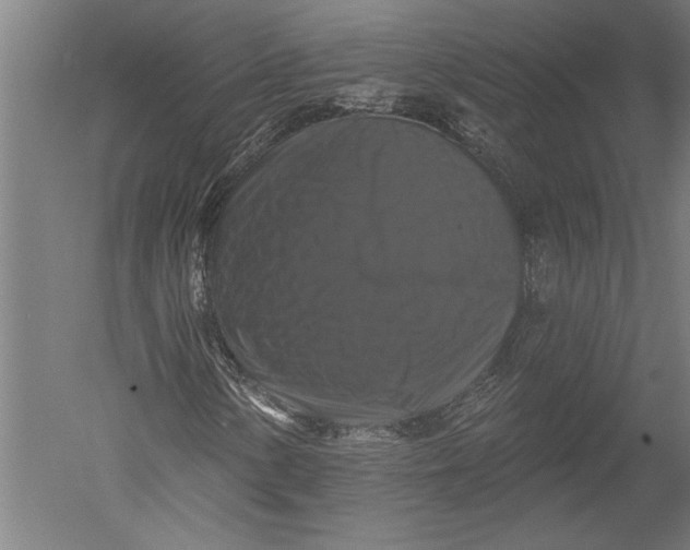 X0000051261154200507082209