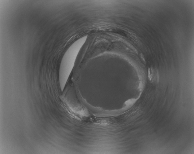 X0000051261155200507082209