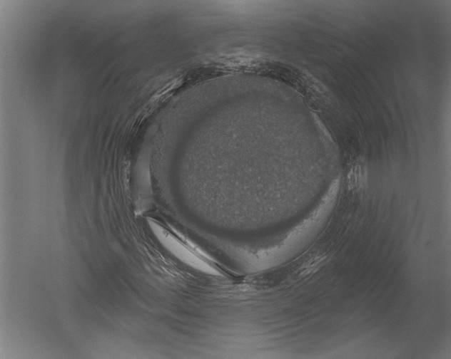 X0000051261156200507082209