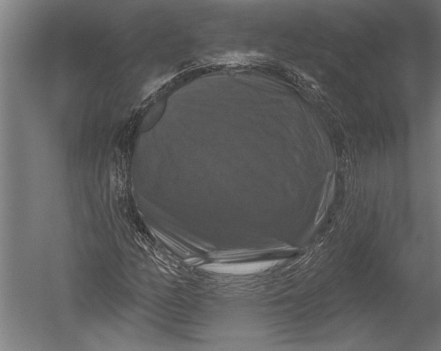 X0000051261158200507082209