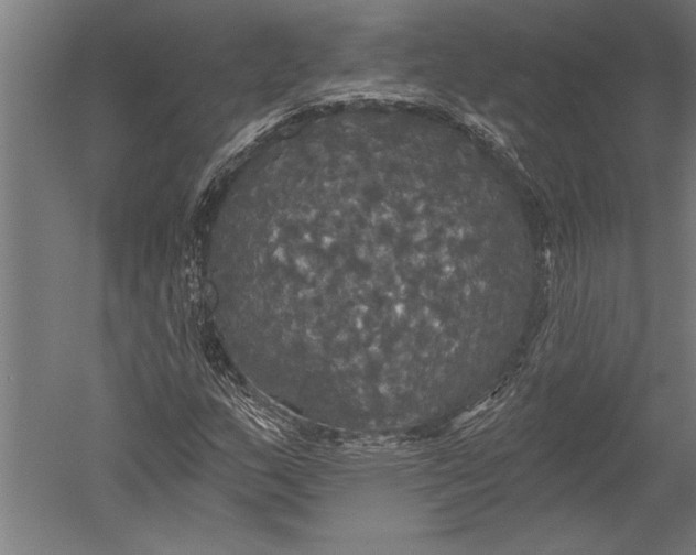 X0000051261159200507082209