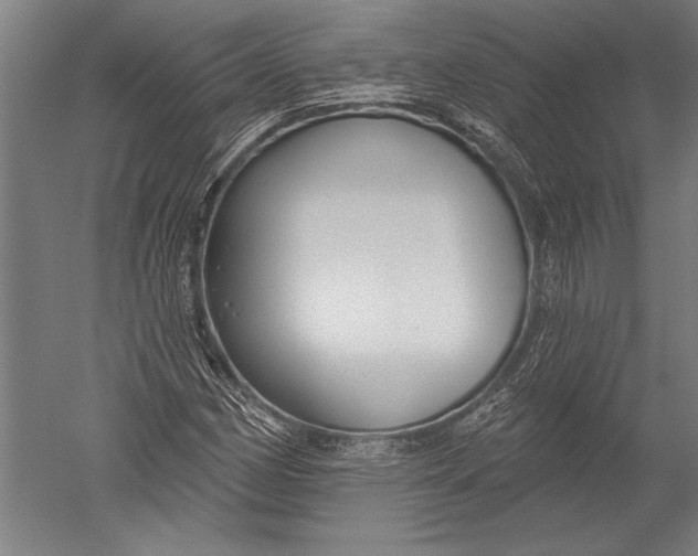 X0000051261162200507082209