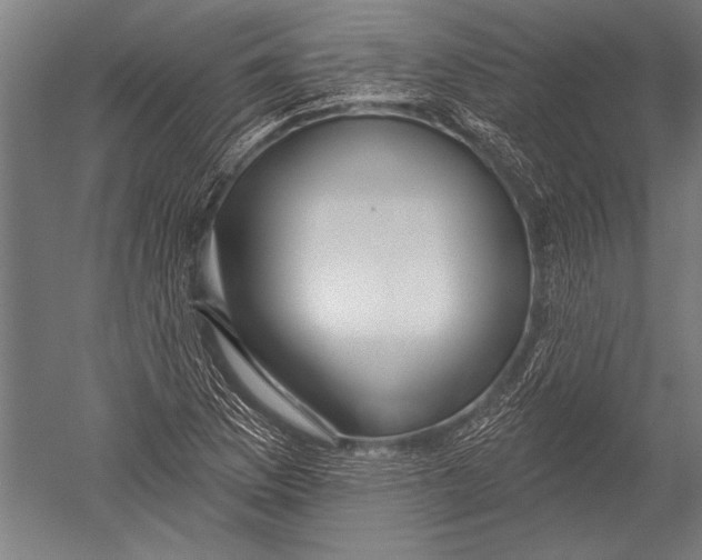 X0000051261169200507082209