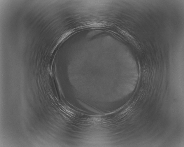 X0000051261170200507082209