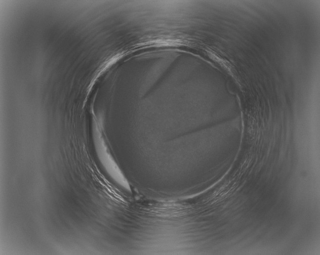 X0000051261171200507082209