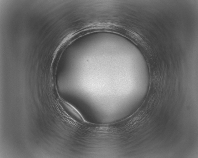 X0000051261172200507082209