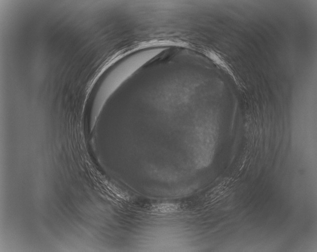 X0000051261173200507082209