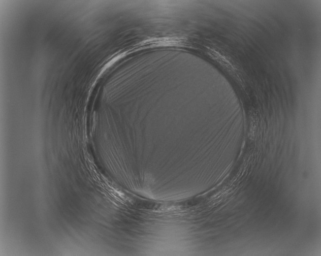 X0000051261174200507082209