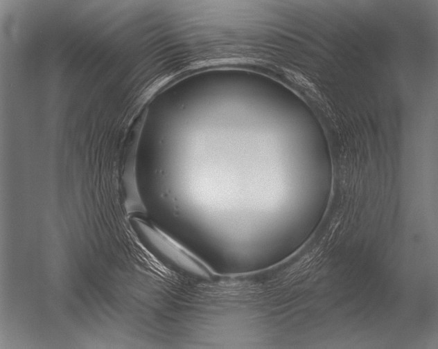 X0000051261177200507082209