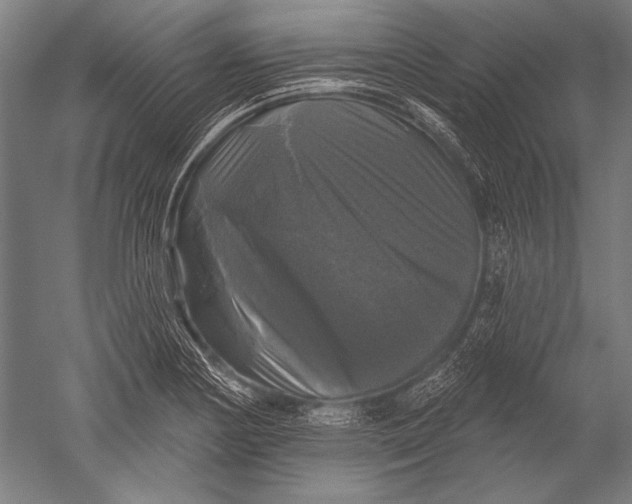X0000051261178200507082209