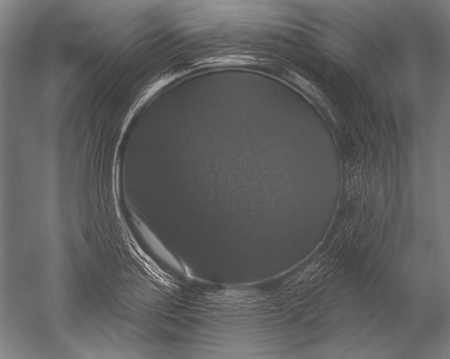 X0000051261179200507082209