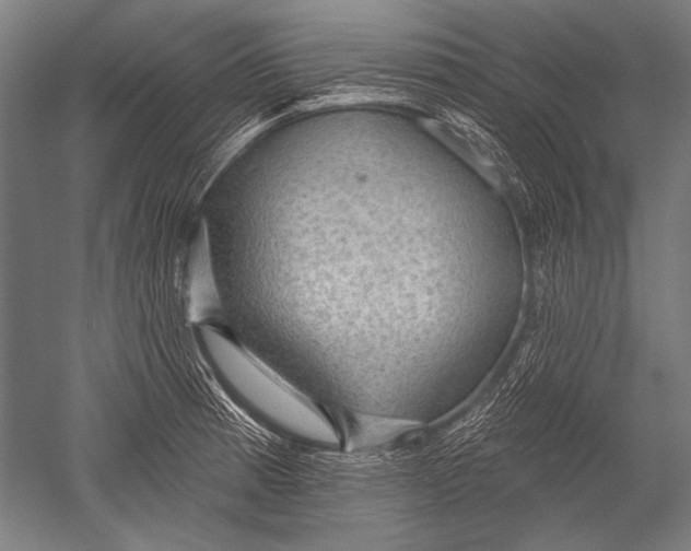 X0000051261185200507082209