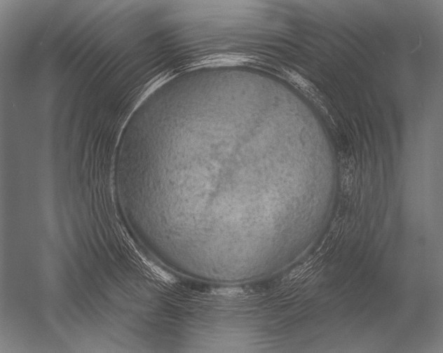 X0000051261186200507082209
