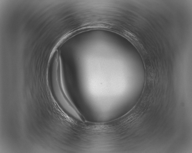 X0000051261188200507082209