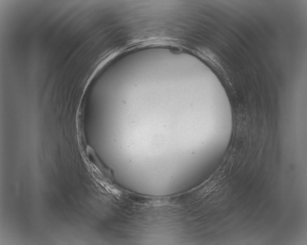 X0000051261190200507082209