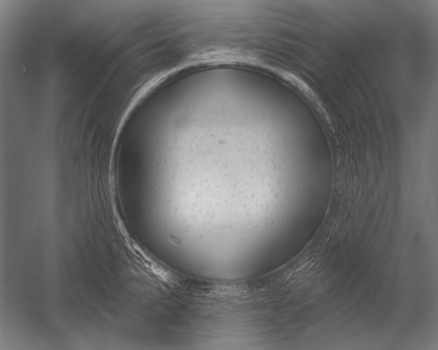 X0000051261191200507082209