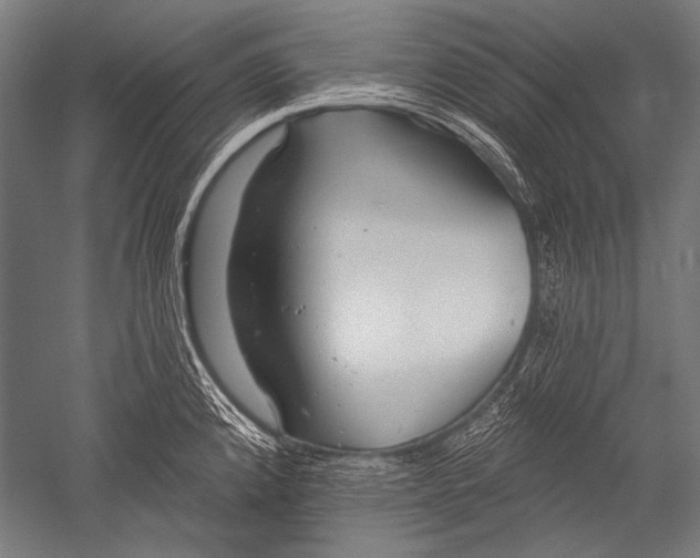 X0000051261192200507082209