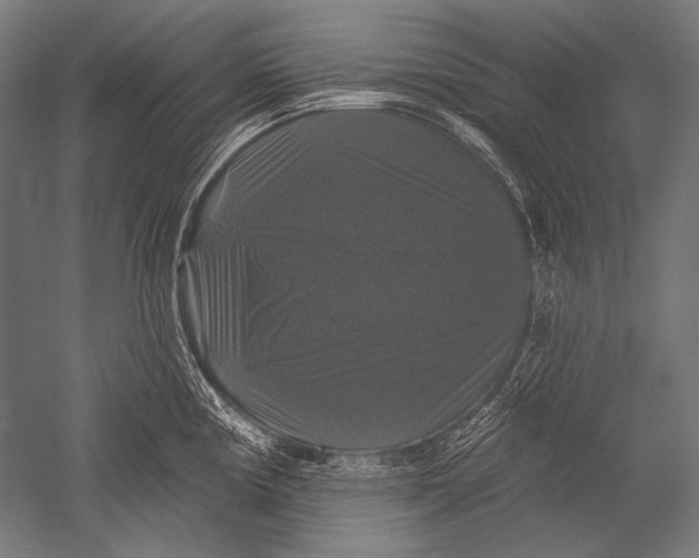 X0000051261194200507082209