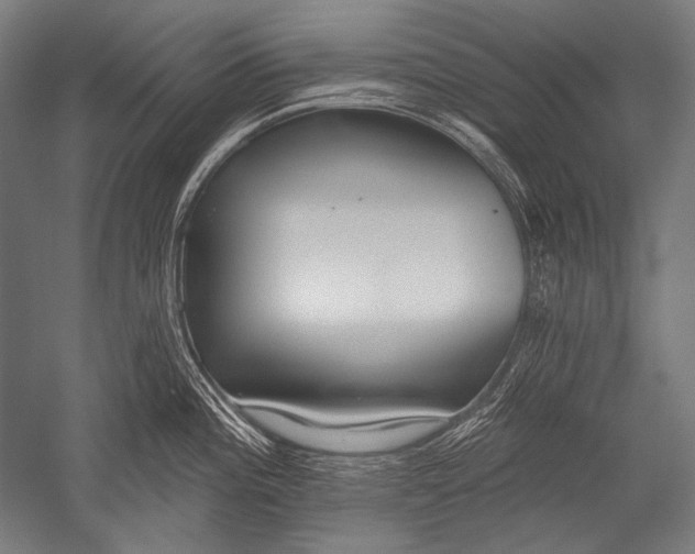 X0000051261196200507082209