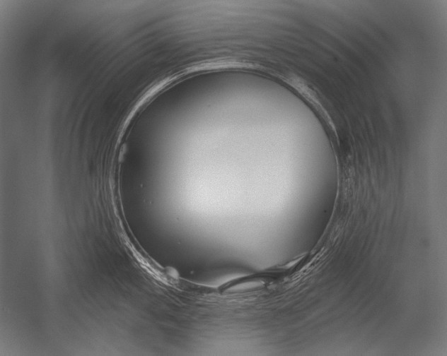 X0000051261197200507082209