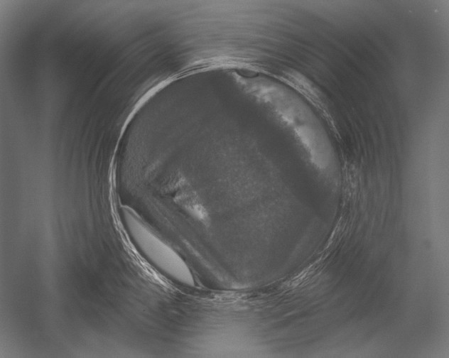 X0000051261198200507082209