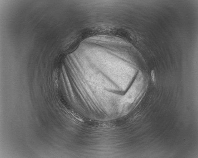 X0000051261203200507082208