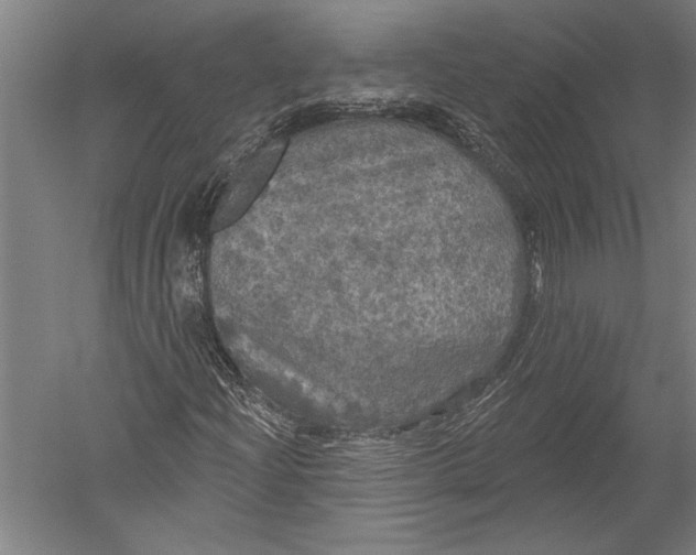 X0000051261204200507082208