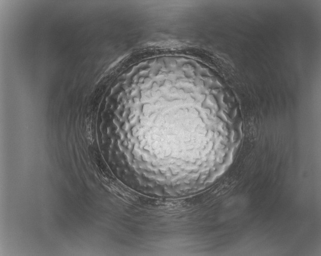 X0000051261205200507082208