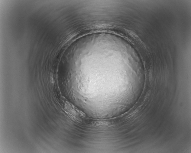 X0000051261209200507082208