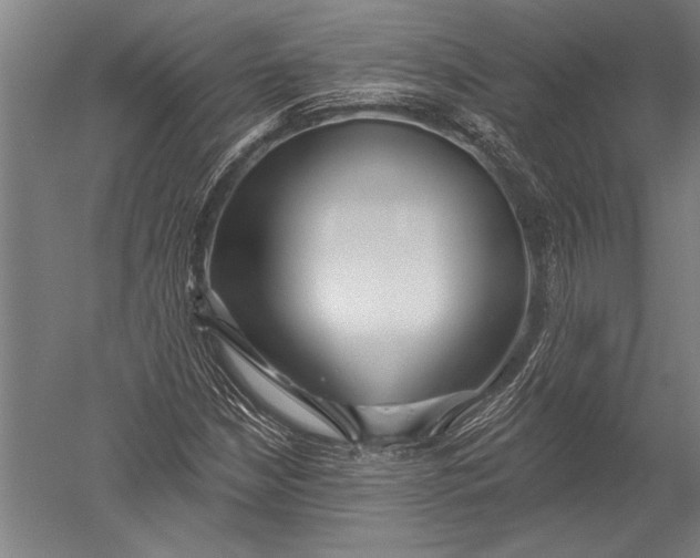 X0000051261210200507082208