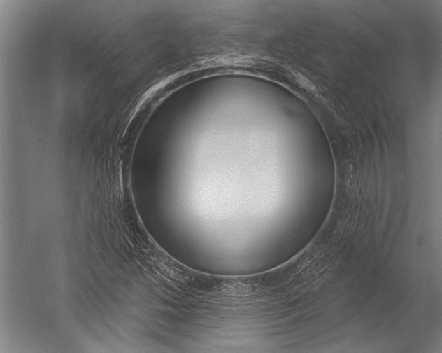 X0000051261214200507082208