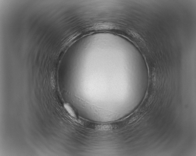 X0000051261217200507082208