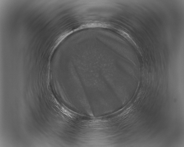 X0000051261228200507082208