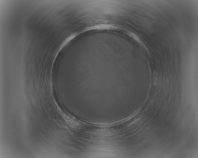 X0000051261229200507082208