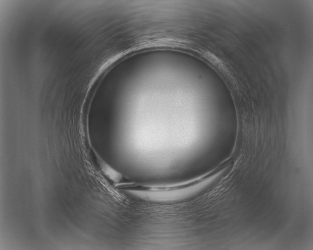 X0000051261230200507082208