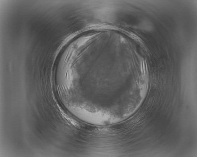 X0000051261231200507082208