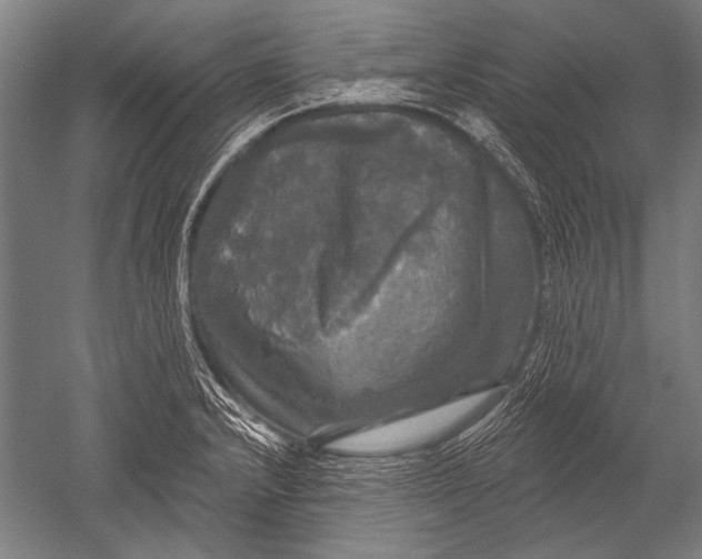 X0000051261232200507082208