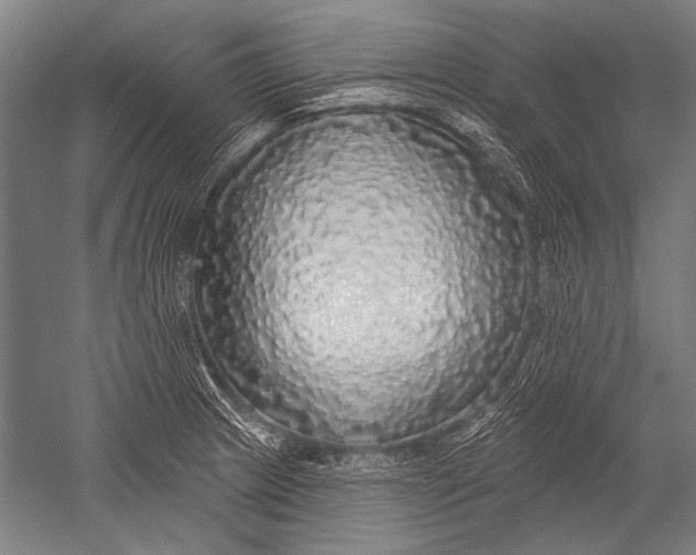 X0000051261233200507082208