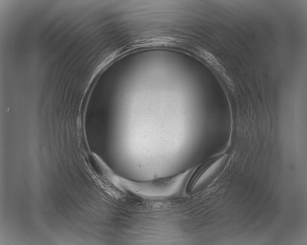 X0000051261234200507082208