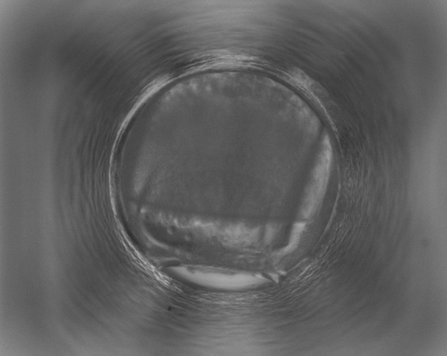 X0000051261235200507082208
