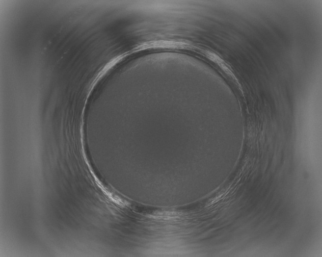 X0000051261237200507082208