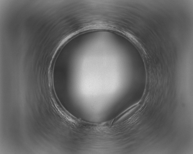 X0000051261238200507082208