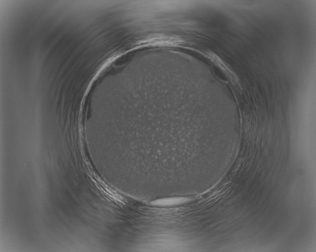 X0000051261240200507082208