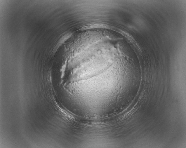 X0000051261241200507082208