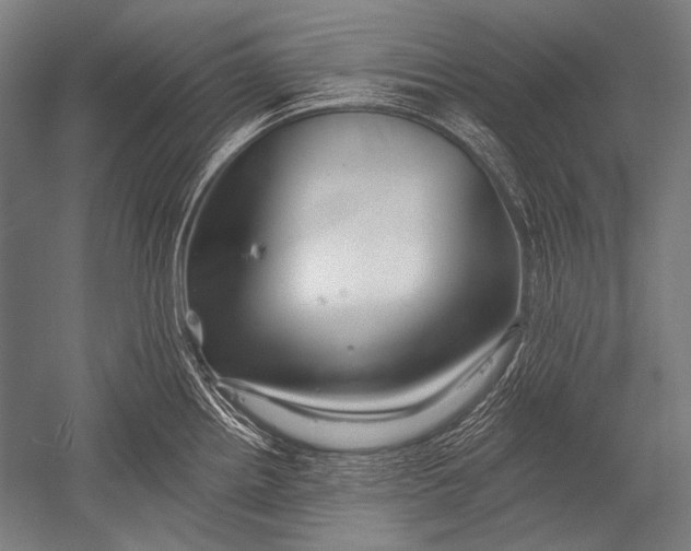 X0000051261242200507082209