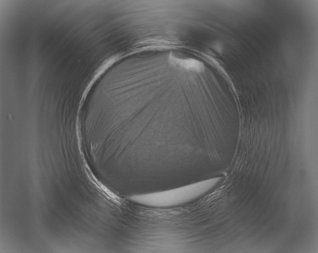 X0000051261243200507082209